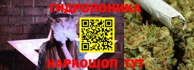 ГАЛЛЮЦИНОГЕННЫЕ ГРИБЫ Будённовск