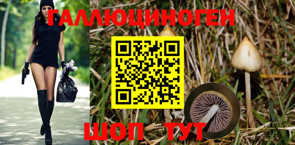 Псилоцибиновые грибы MAGIC MUSHROOMS Ярославль