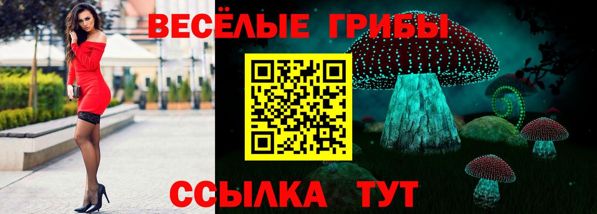 Ярославль  где купить   Вход с VPN  Галлюциногенные грибы ЛСД 